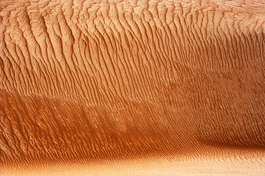 Oman, Rippled sand on a dune, full frame