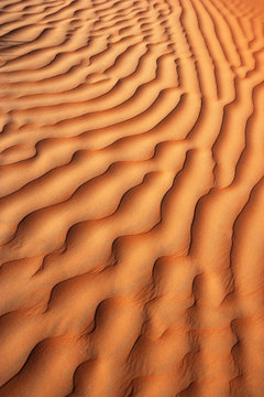 Oman, Rippled sand on a dune, full frame