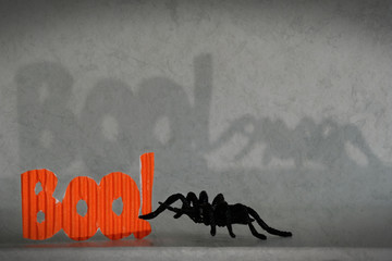 Scary spider will be happy to join your halloween party. Shadows add the dramatic effect to the...