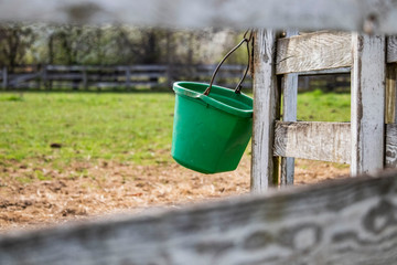 bucket and fence © Austin