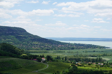 View to a lake in a gree area