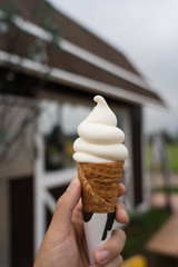 Hand holding a soft serve milk ice cream with farm background
