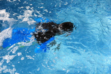 Face children girl on swimming in the pool,close up face in the pool.