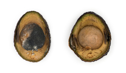 Decaying avocado slices against white background