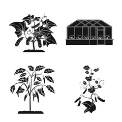 Vector illustration of greenhouse and plant icon. Set of greenhouse and garden stock vector illustration.