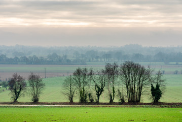 A winter morning in Mayenne. Behind the road and the bare trees, the fields are frozen and the countryside is drowned in the mist