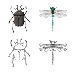 Vector illustration of insect and fly icon. Set of insect and element stock symbol for web.