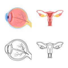 Vector illustration of body and human sign. Set of body and medical vector icon for stock.