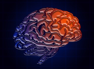 The concept of intelligent human thought and human brain is blue and orange on a blue background (illustration)