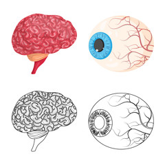 Vector illustration of body and human symbol. Collection of body and medical stock symbol for web.