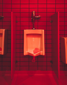 View of empty public toilet