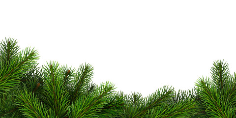A border of realistic spruce branches. Design element for Christmas or New Year greeting card.
