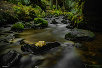 Česko-saské Švýcarsko