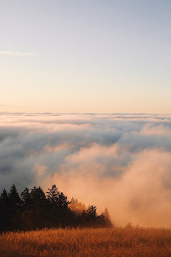 Landscape covered by morning clouds and mist