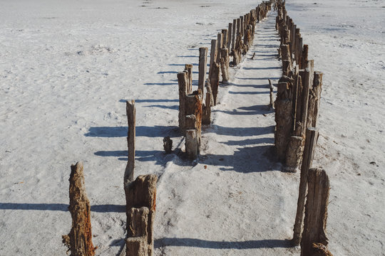 Parallel row of wooden posts