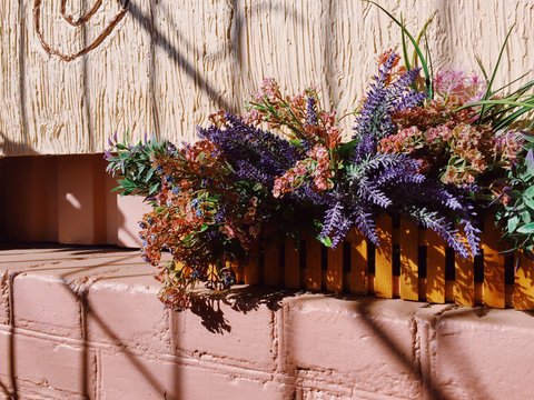View of colorful  flowers
