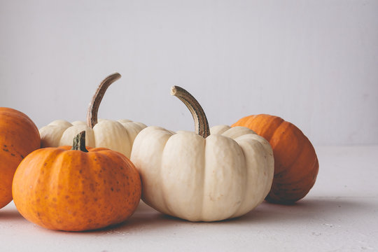 Pumpkins on  isolated white background