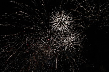 Obraz premium fireworks in the night sky