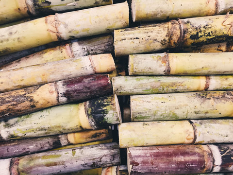 Directly above view of sugarcane stems