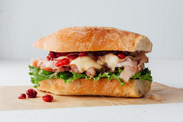 Close up view of turkey cranberry sandwich