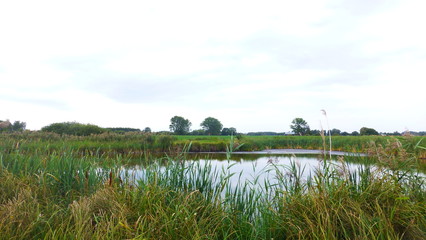 countryside landscape