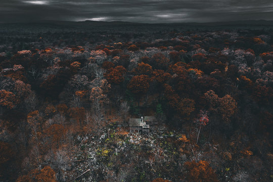 View of haunted cabin in forest