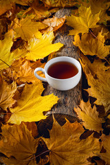 Mug of tea, autumn leaves, beautiful autumn composition with teacup. autumn forest, tea time. Concept of fall season.