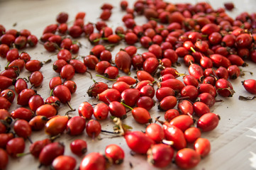 Bunch of red rosehip. Rosehip ready for drying.
