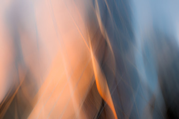 Abstract digital photograph