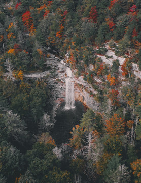 Scenic view of waterfall in forest