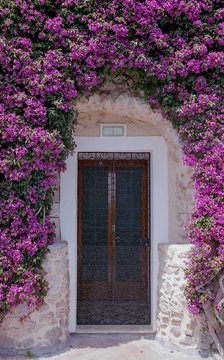 Exterior view of building arch covered with purple flowers