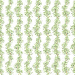 Watercolor hand drawn seamless pattern with winter plant juniper branches isolated on white background, good for new year and  Christmas card, invitation, wrapping paper, fabric wallpaper