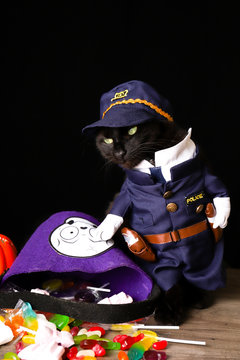 A black cat dressed as a police officer stands on top of a wooden table next to Halloween candy against a black background