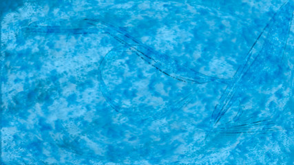 Naklejka premium blue water background