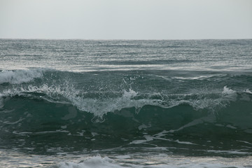 olas mar
