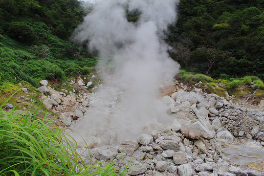 Steam rising from pile of stones in forest