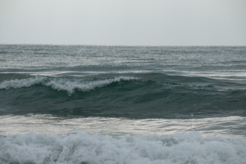 olas mar