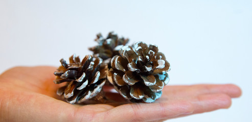 Cones on a white background