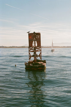 Buoy in Puget Sound