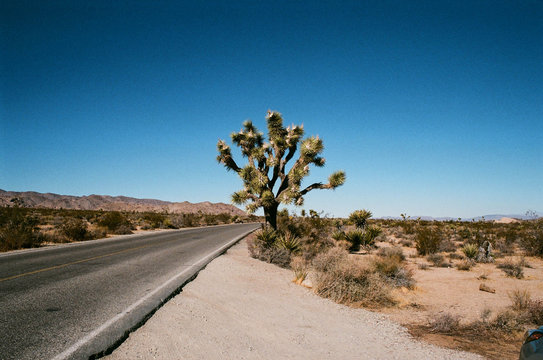 Highway stretches through desert