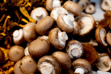 Spanish Natural and fresh fruits and vegetables gastronomy products. Mushrooms in the market place