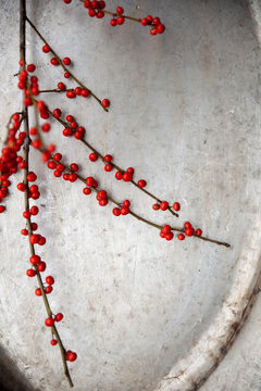 Twig with red berries on silver tray