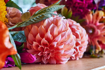 Close up of colorful variety of flowers
