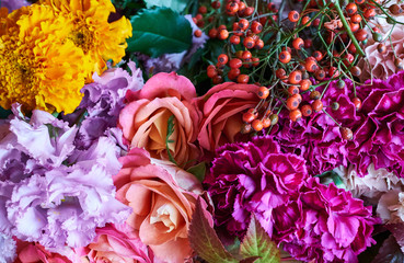 Close up of colorful variety flowers