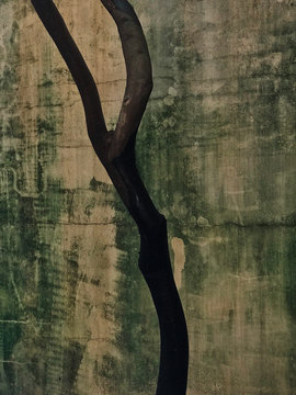 Close up of bare tree trunk against green and white cracked wall