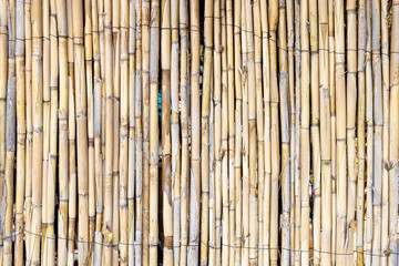 Reed fence