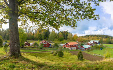 Swedish farm 