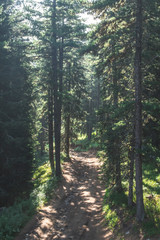 Mountain road