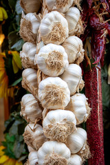 braided garlic in front of a shop