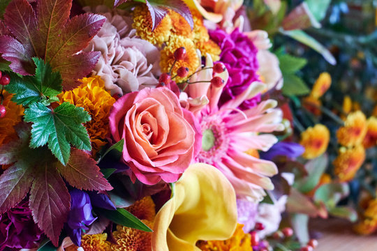 Close up of colorful variety of flowers